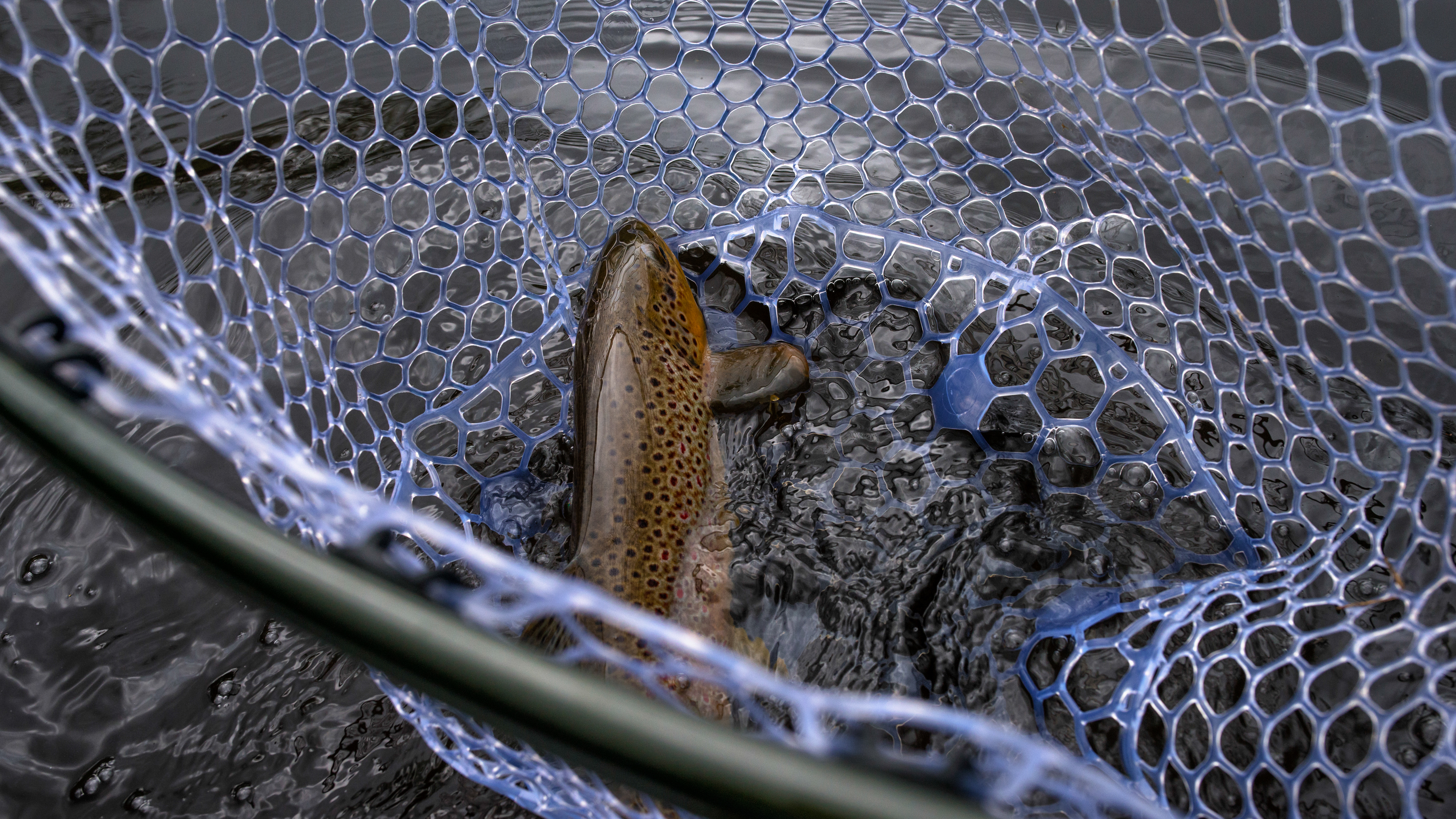 Review Fishpond Nomad Boat Net Hatch Magazine Fly Fishing, etc.