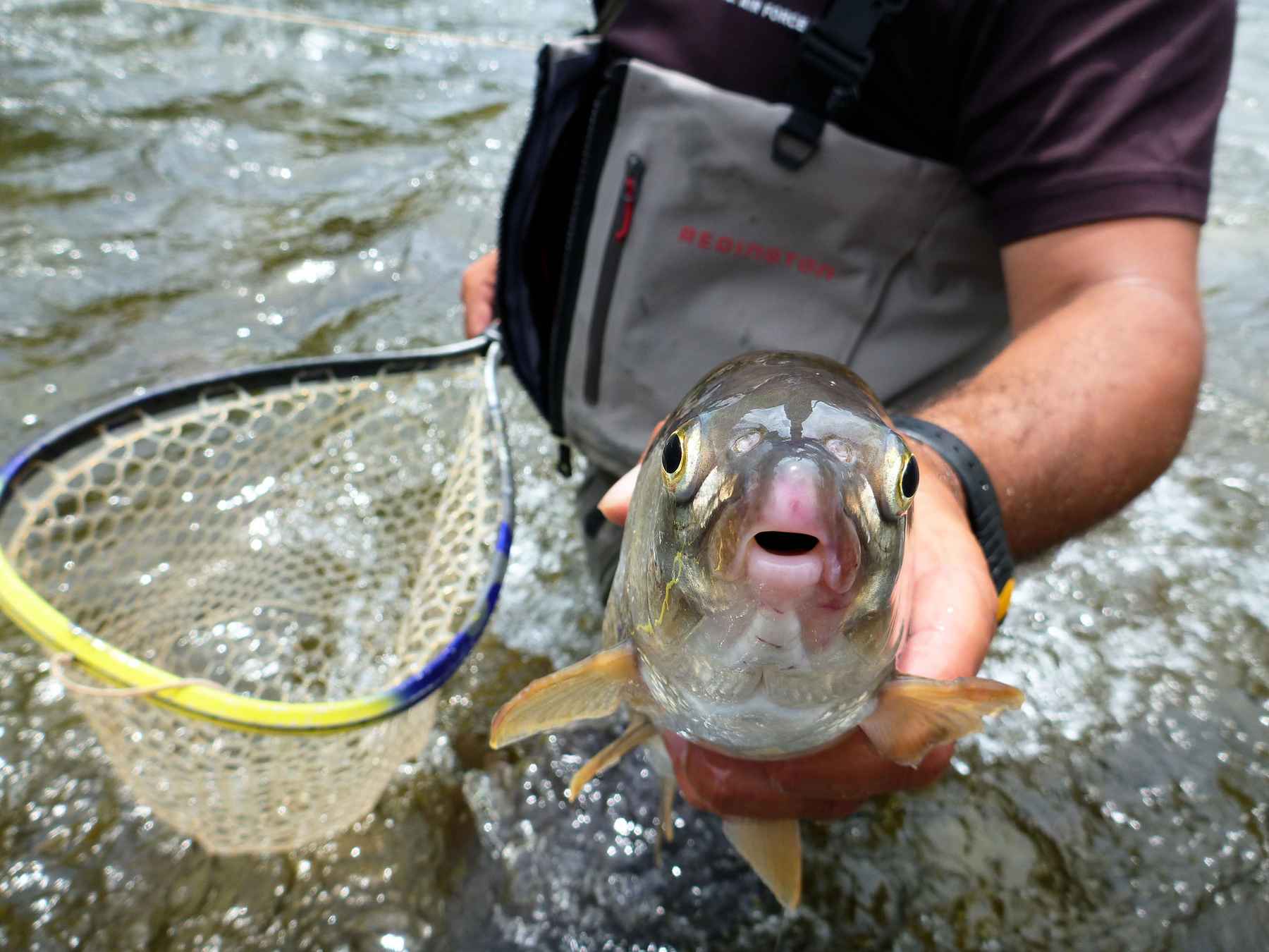 This lure looks WILD in the water. The action is pretty bad but the fa