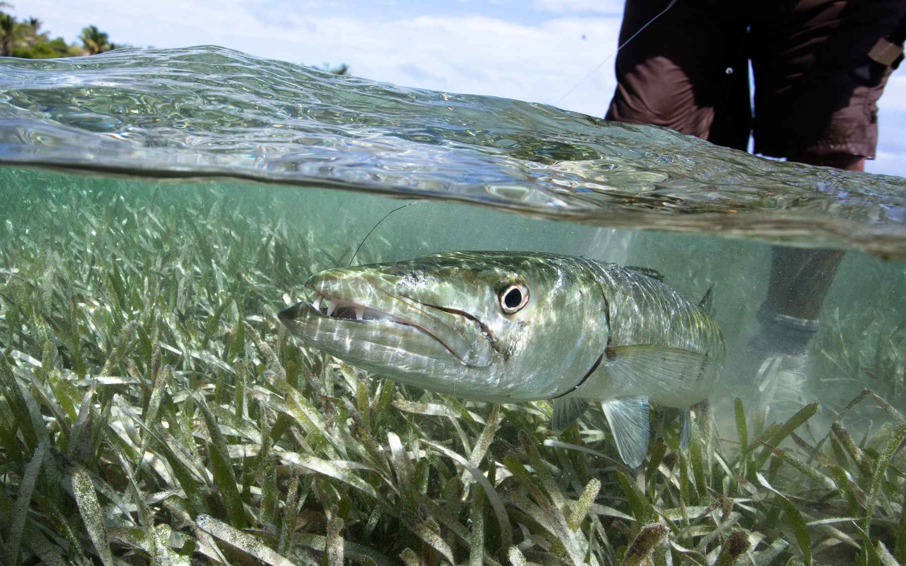 HOW TO MAKE A FLOATING WADE FISHING CAR 