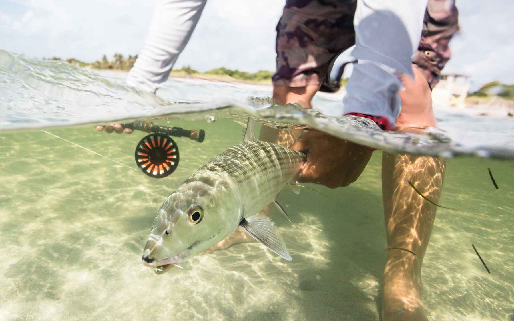 Review Redington BEHEMOTH fly reel Hatch Magazine Fly Fishing