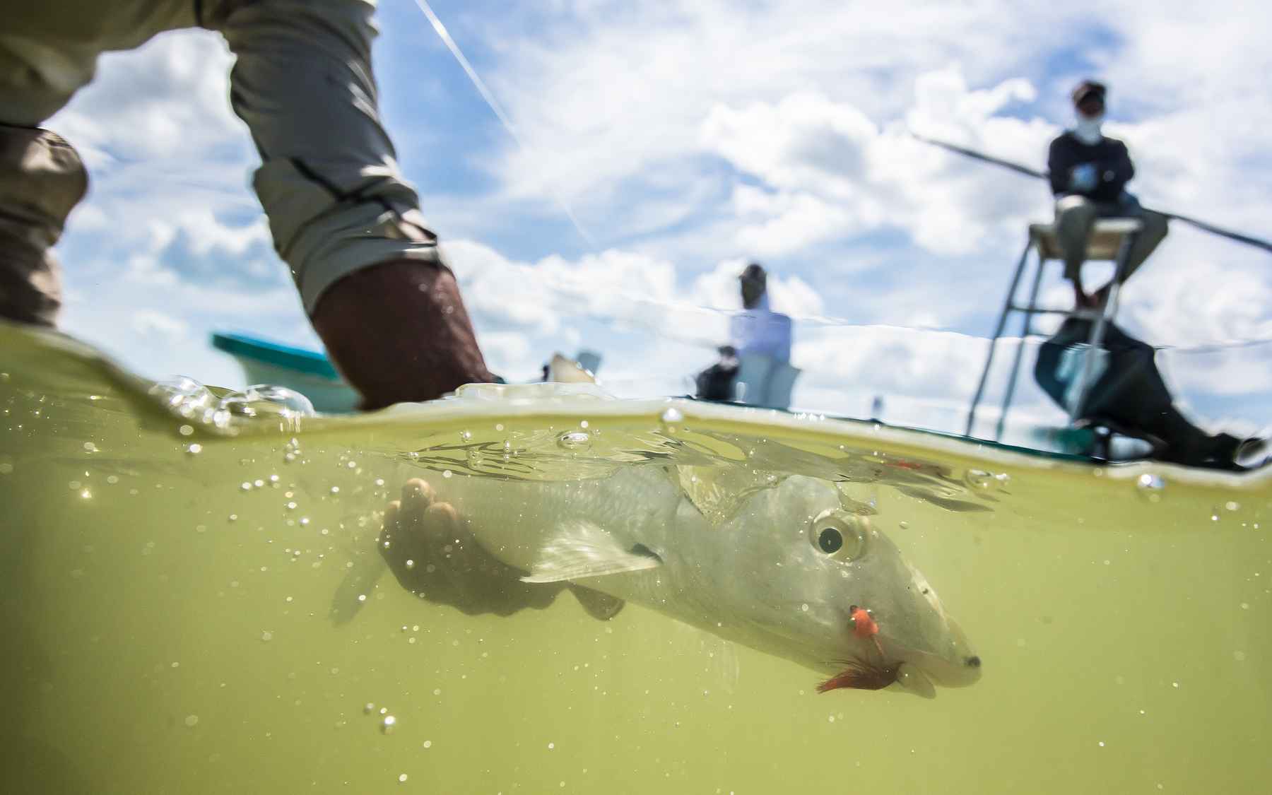 3 go-to fly lines for bonefish  Hatch Magazine - Fly Fishing, etc.