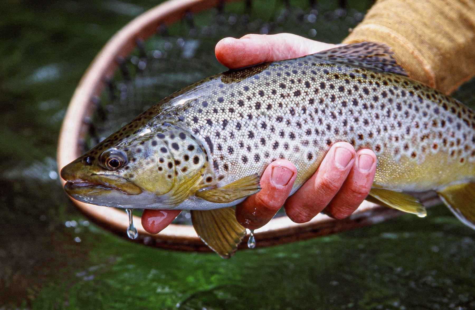 http://www.hatchmag.com/sites/default/files/styles/extra-large/public/field/image/14330015.jpg