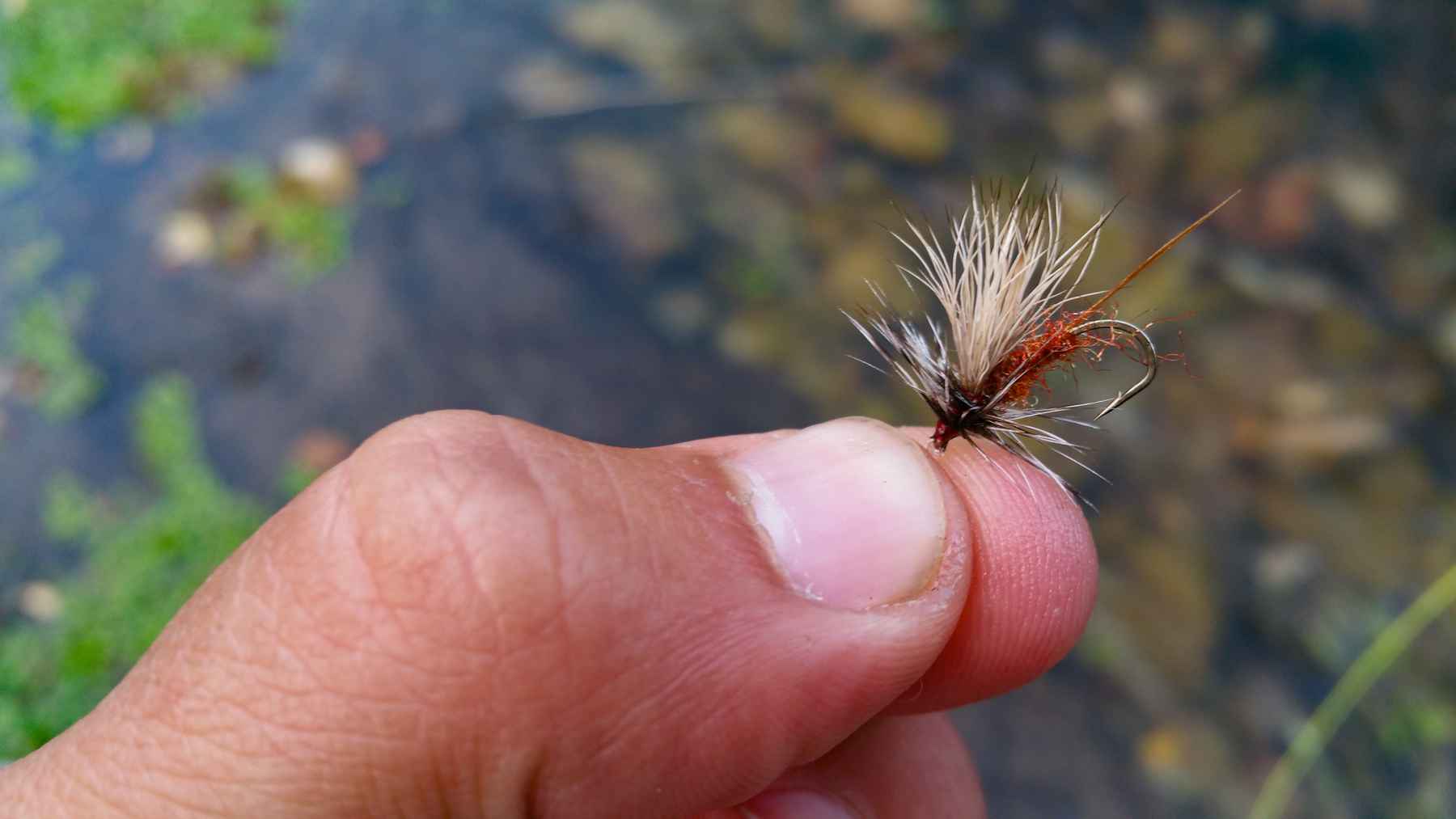 How to make your own killer fly  Hatch Magazine - Fly Fishing, etc.
