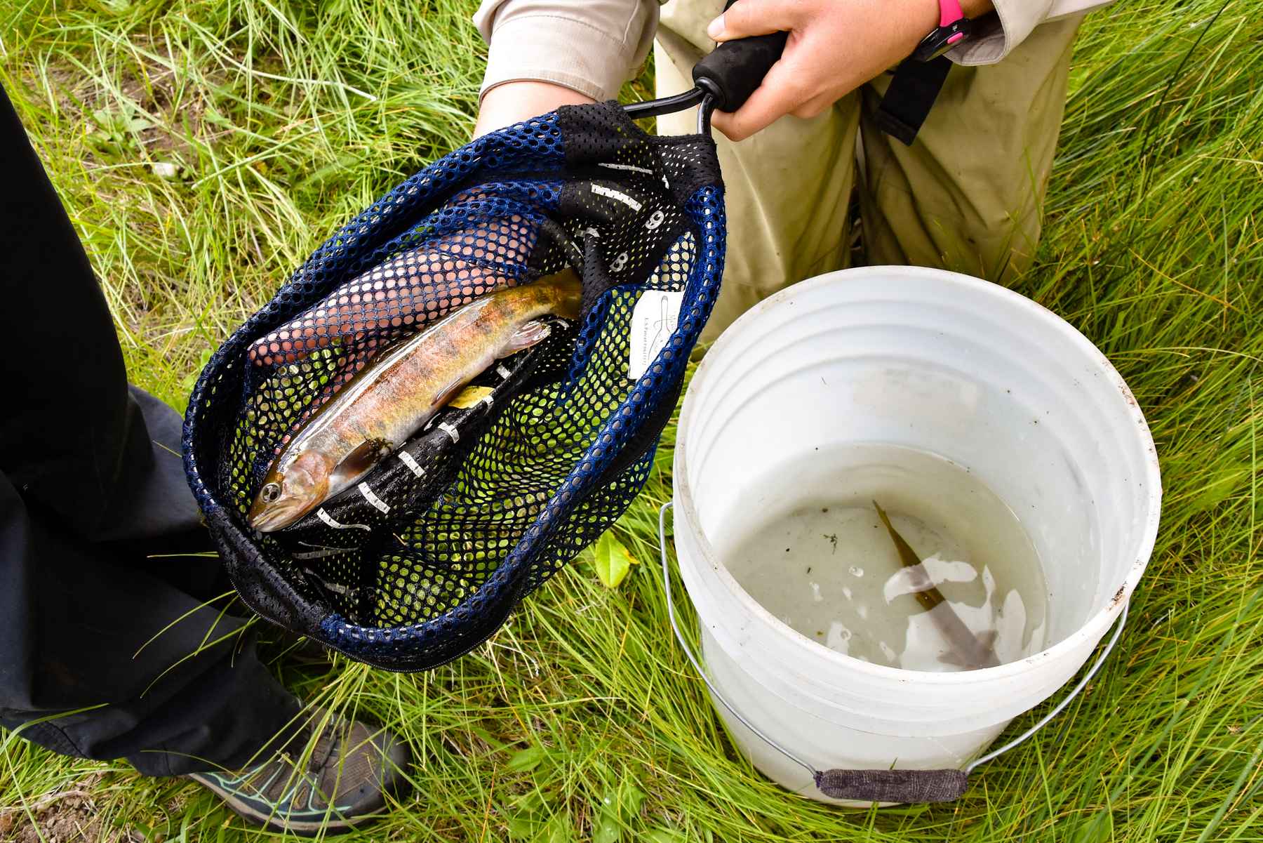 www.hatchmag.com