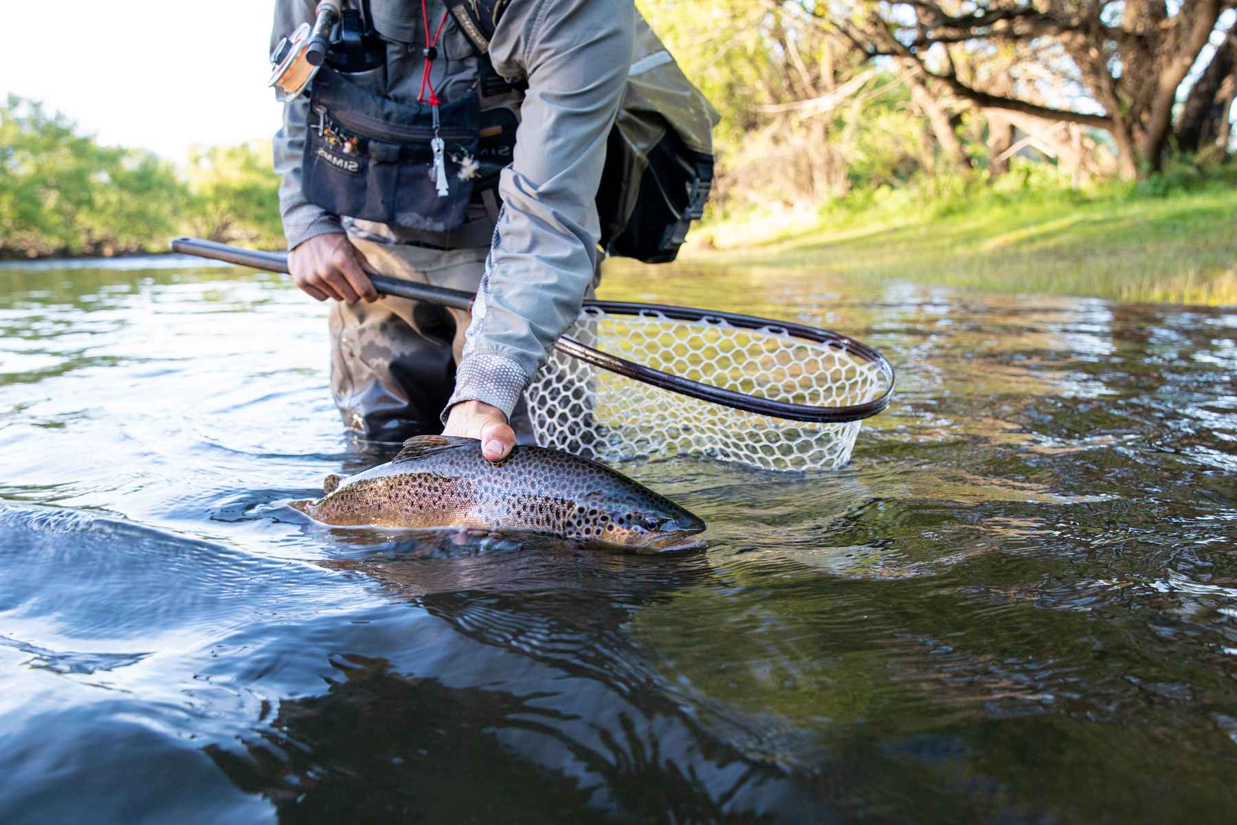 www.hatchmag.com