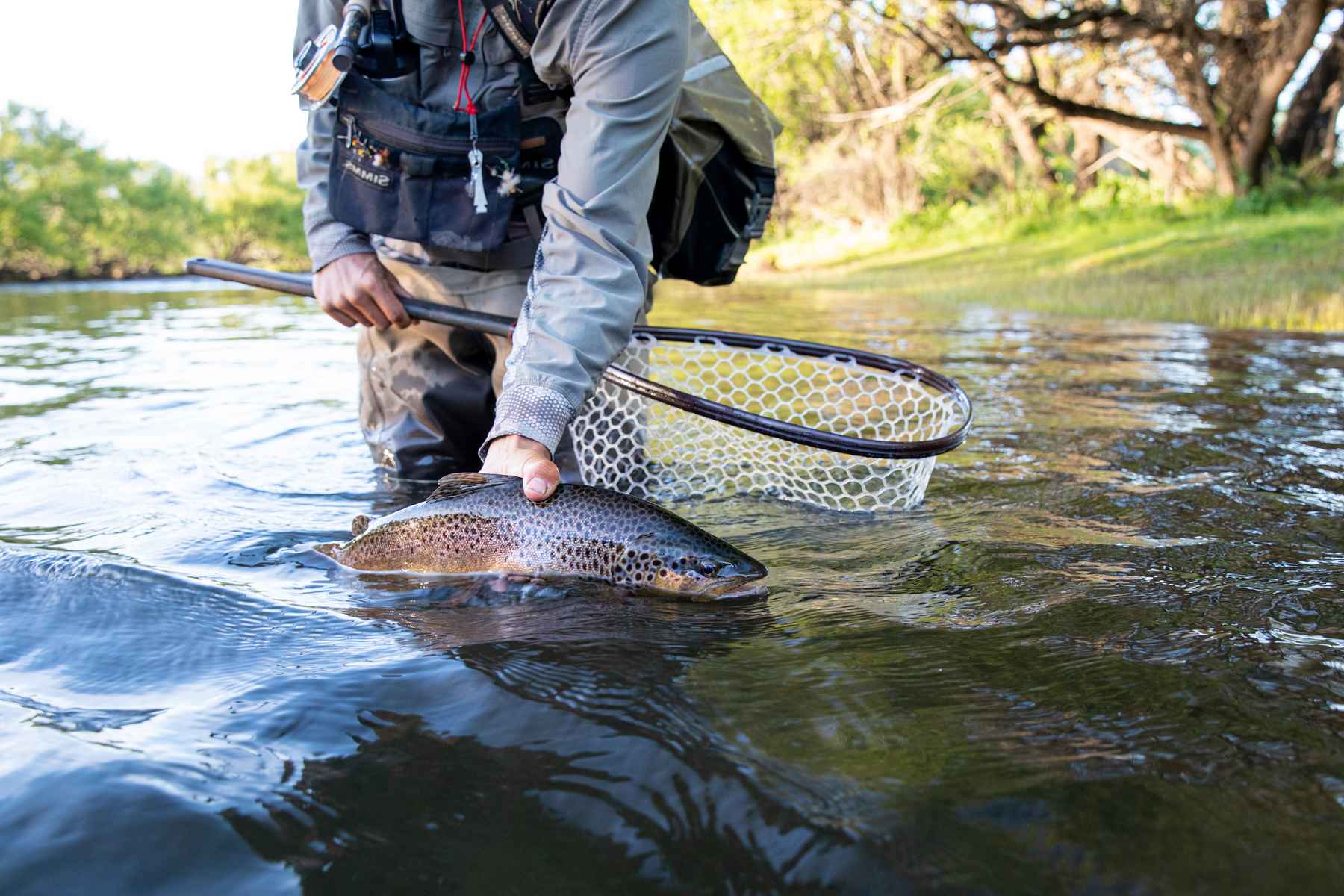 A cruel mistress, gentled  Hatch Magazine - Fly Fishing, etc.