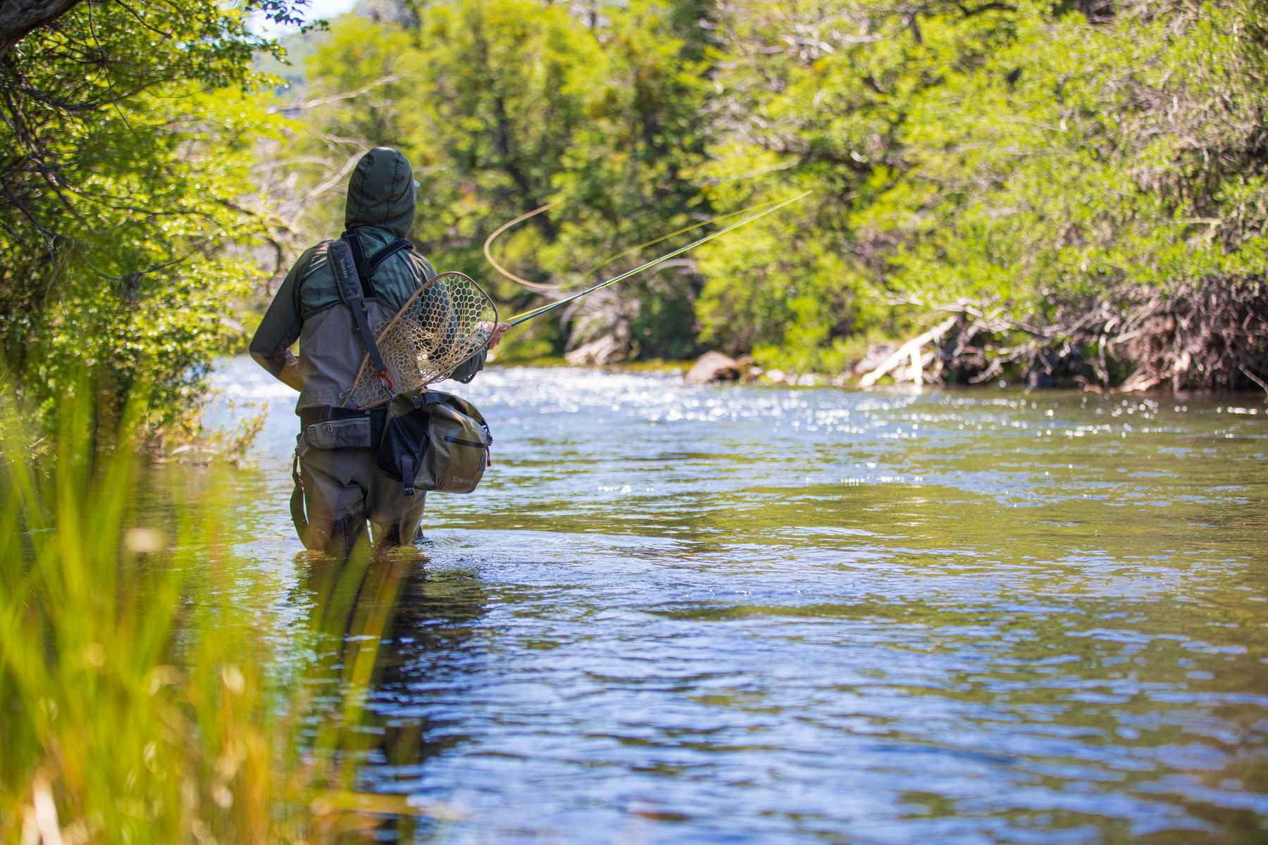 How to choose a fly rod for trout fishing