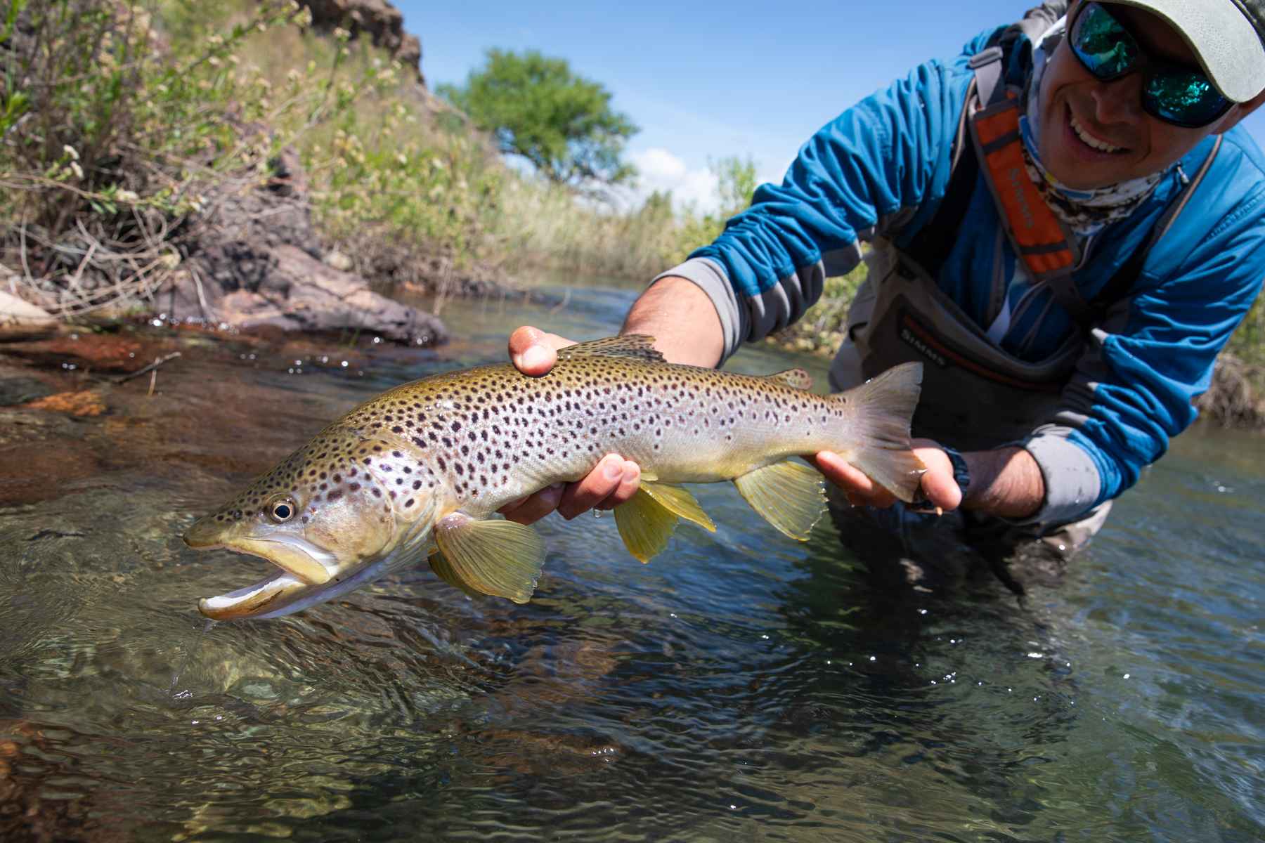 Wild Water Fly Fishing - Learn fly fishing the easy way for way less