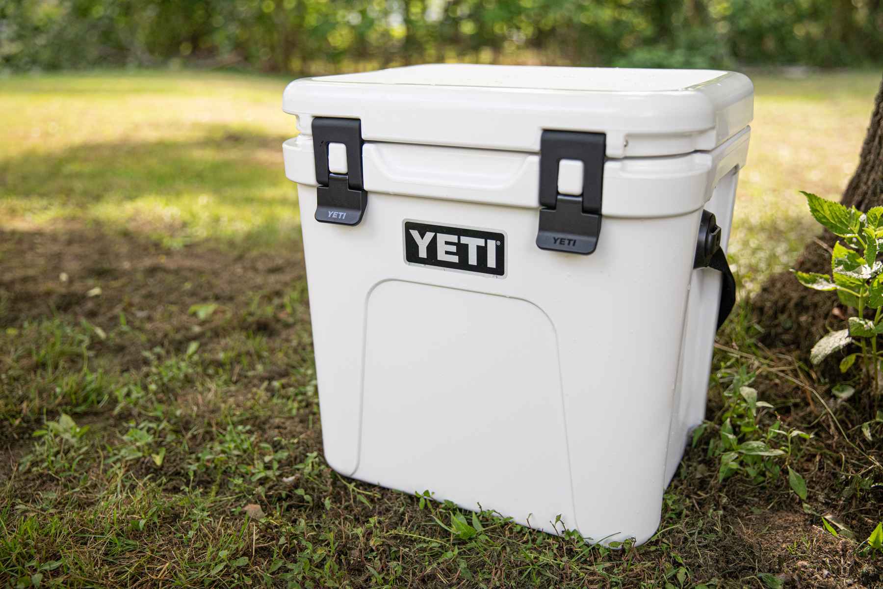 Yeti Roadie 24 Hard Cooler - White