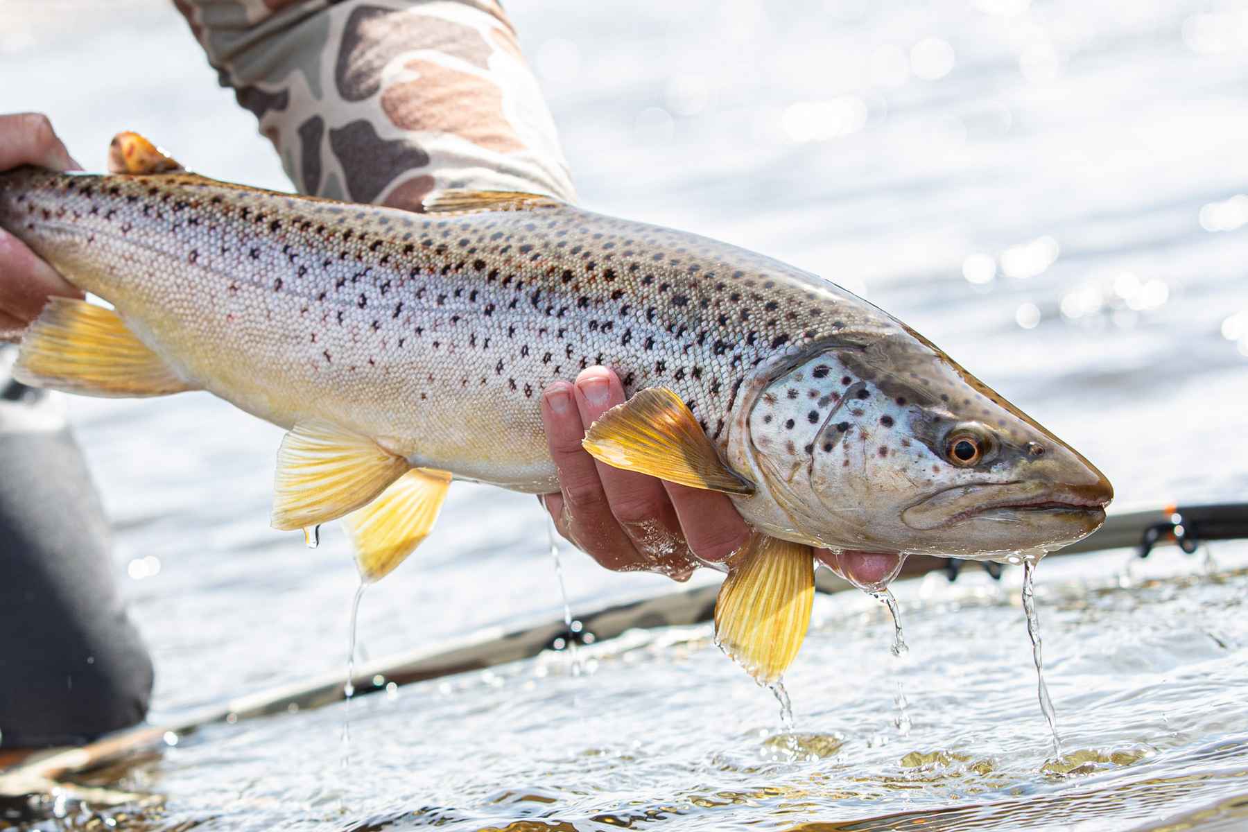 The seven deadly sins of fly fishing
