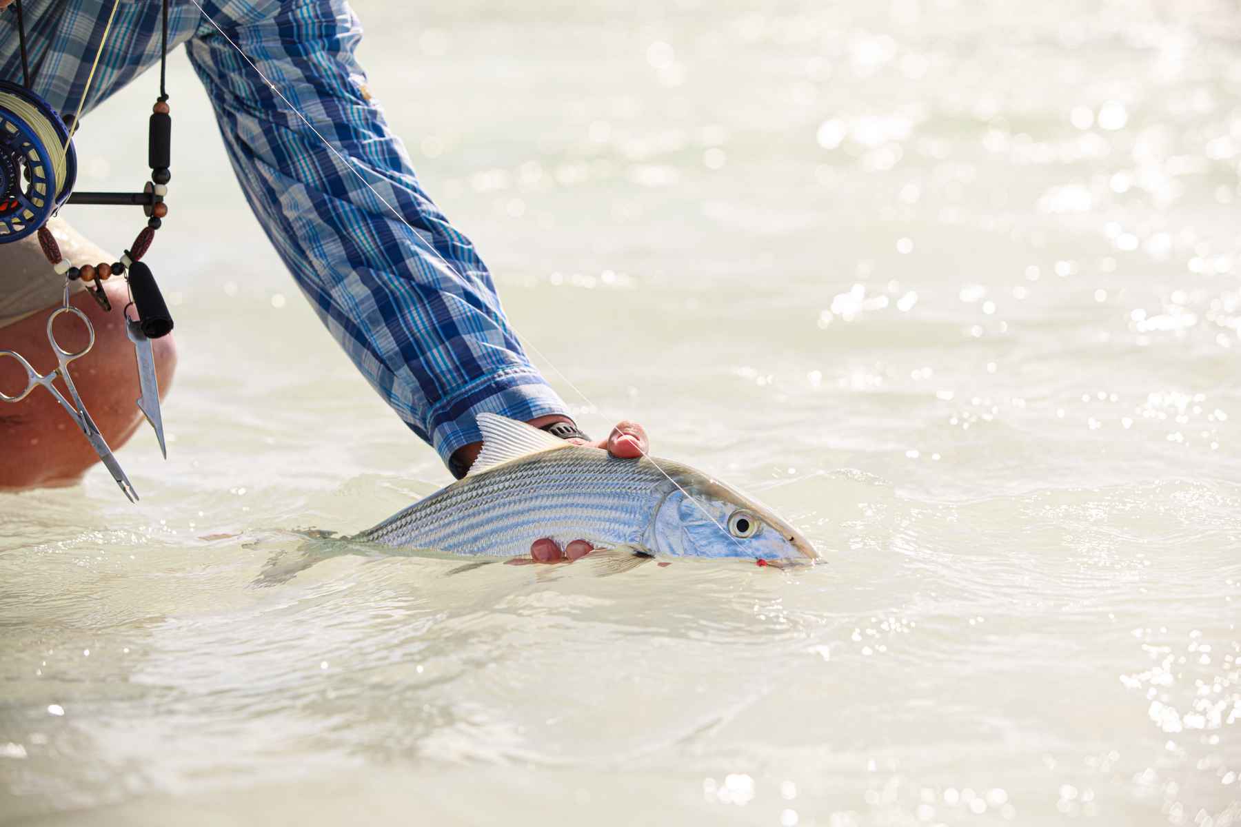 8 bonefish tips for new (or rusty) flats anglers