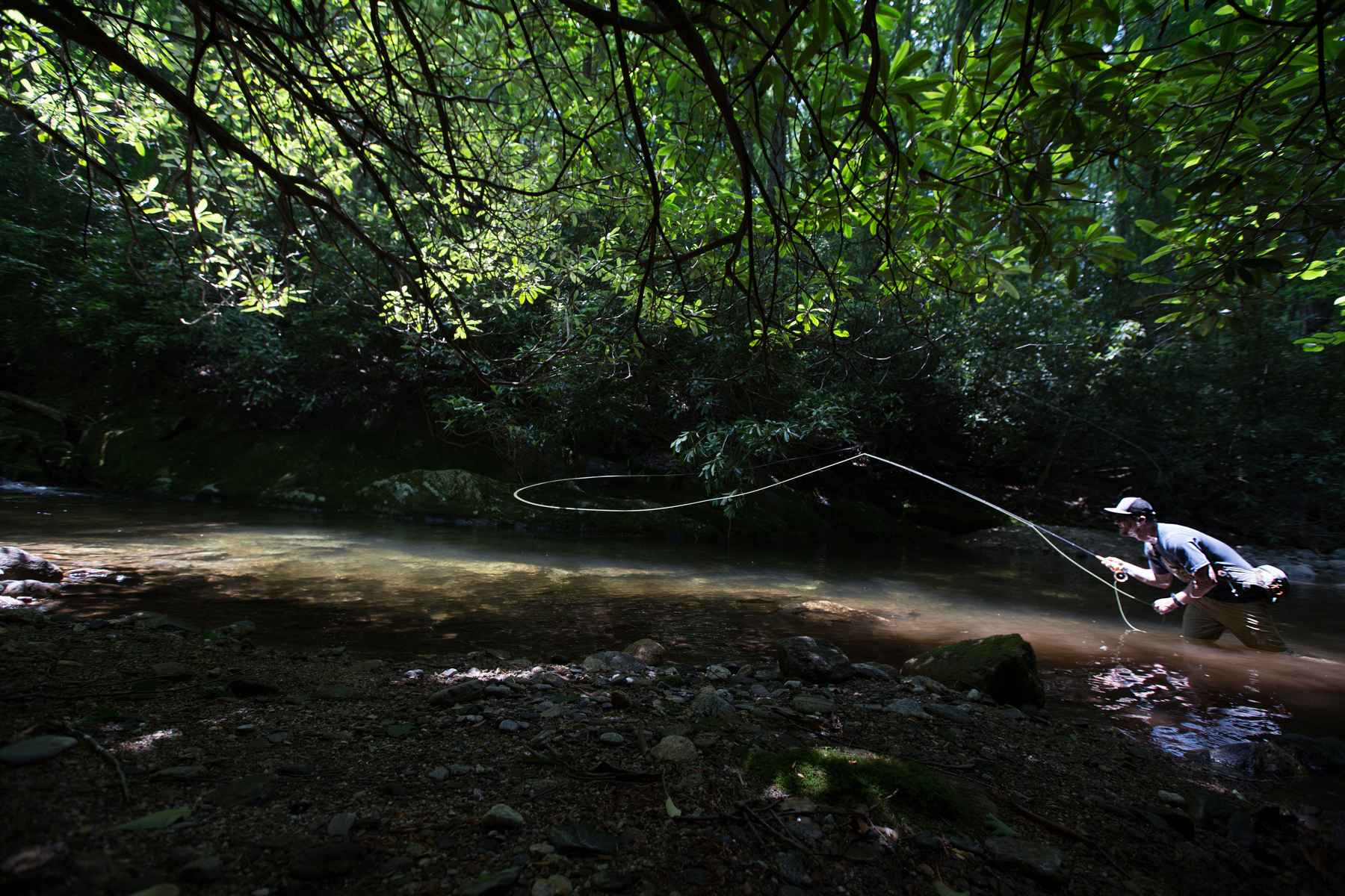Review: Sage DART fly rod | Hatch Magazine - Fly Fishing, etc.