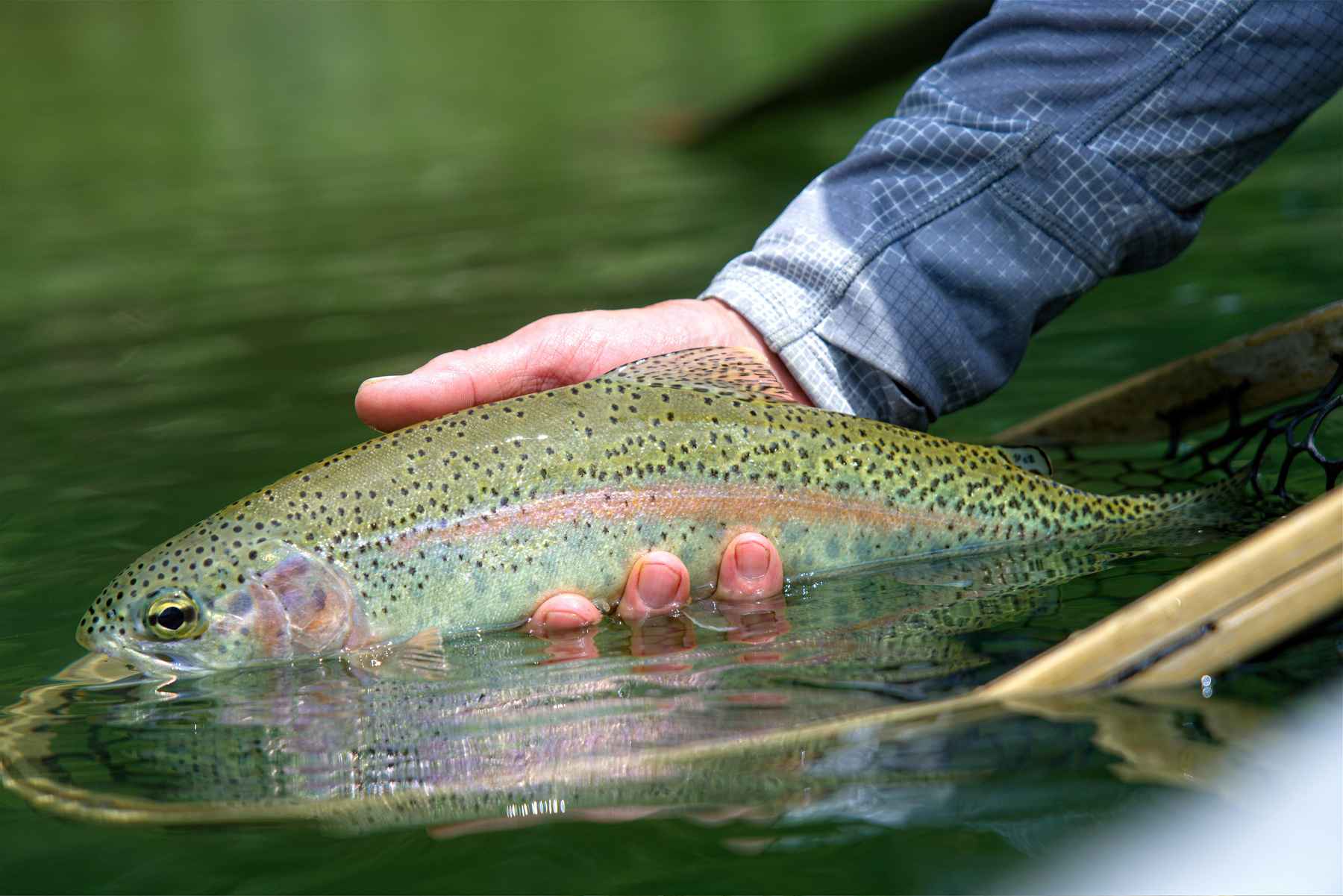 Fly fishing the Kootenai River in Montana