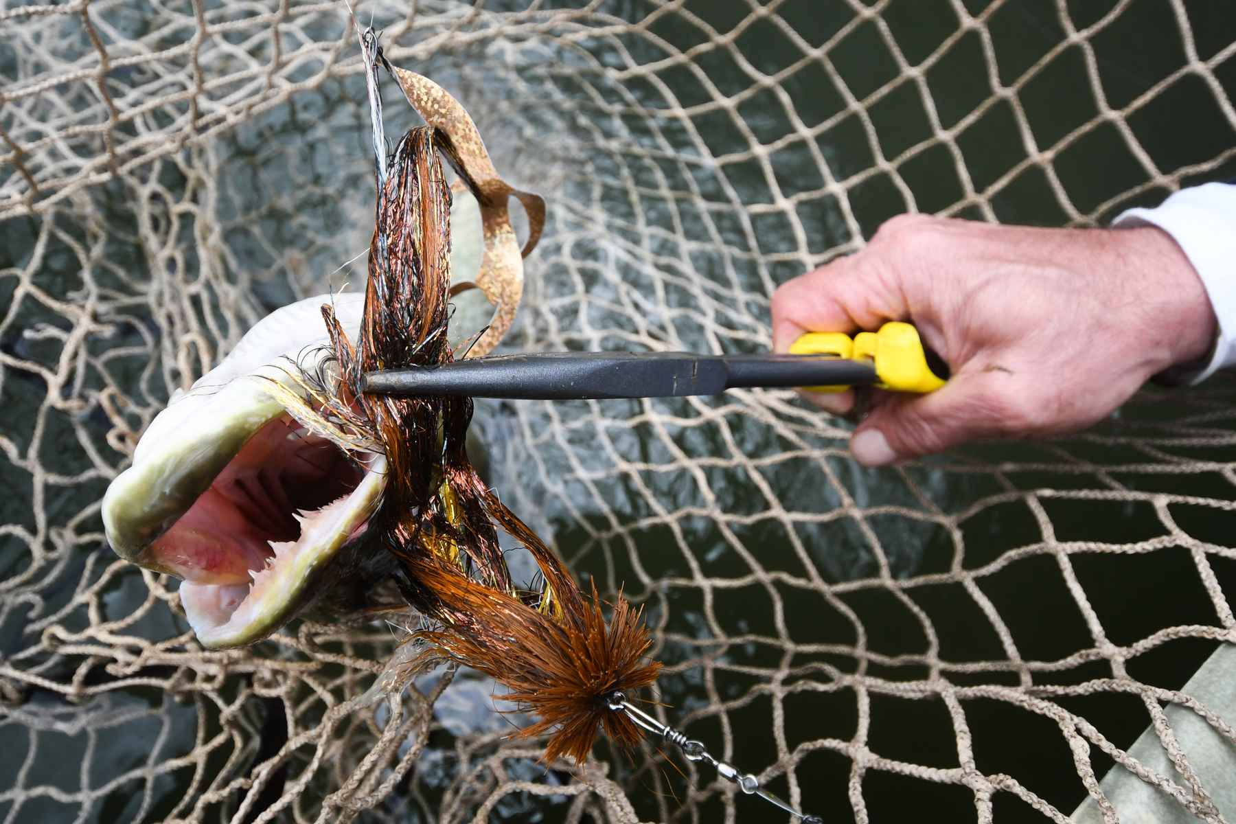 Landing Net Pole, Landing Net Handle Wear Resistant Easy For Landing Big  Fish For Fishing 