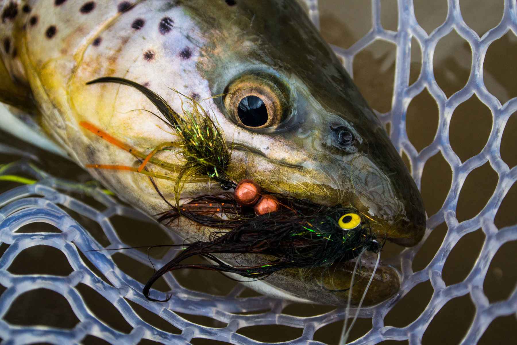 One more streamer tip: Sculpins up and fast