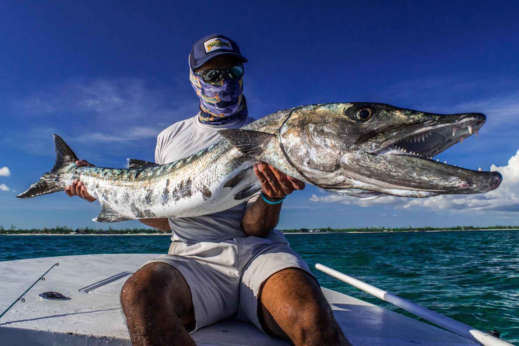 Barracuda: The cheetah of the flats