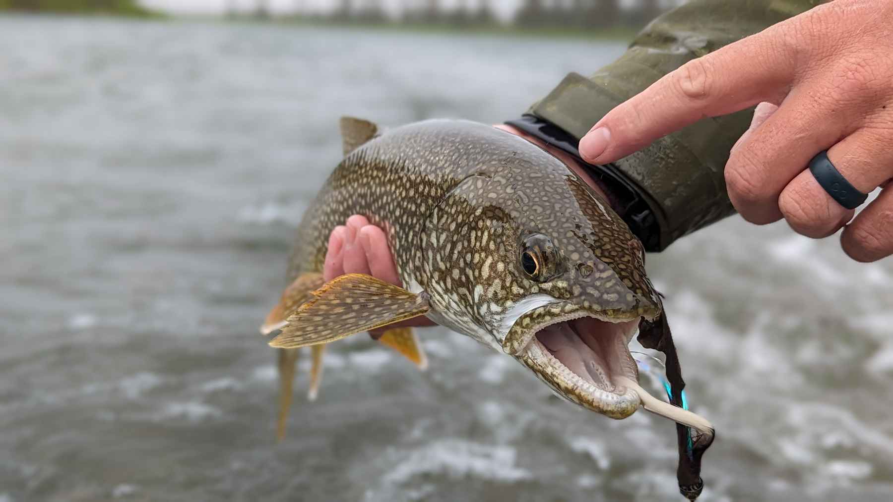 Where Alaskan Fly Fishermen Go To Land The Big Ones