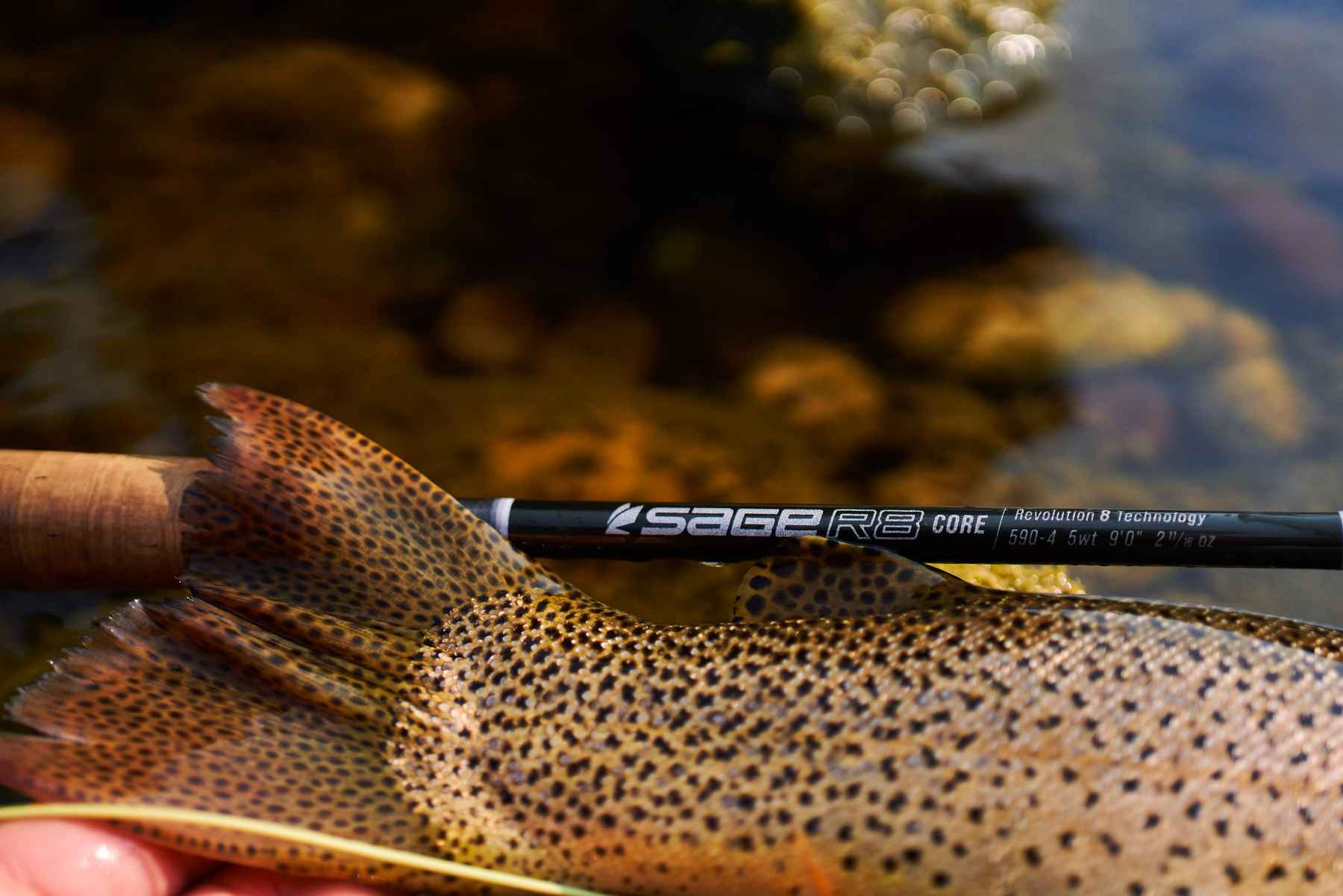 Sage introduces the new R8 CORE fly rod lineup