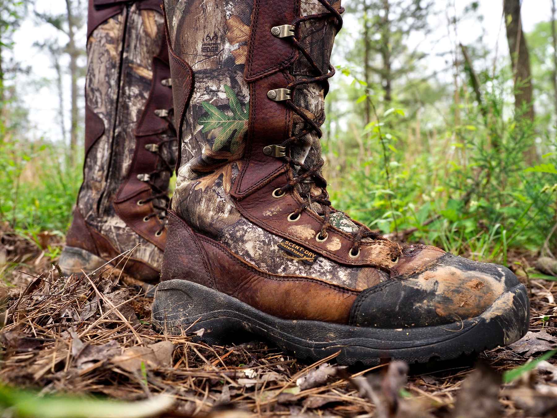 hiking snake boots