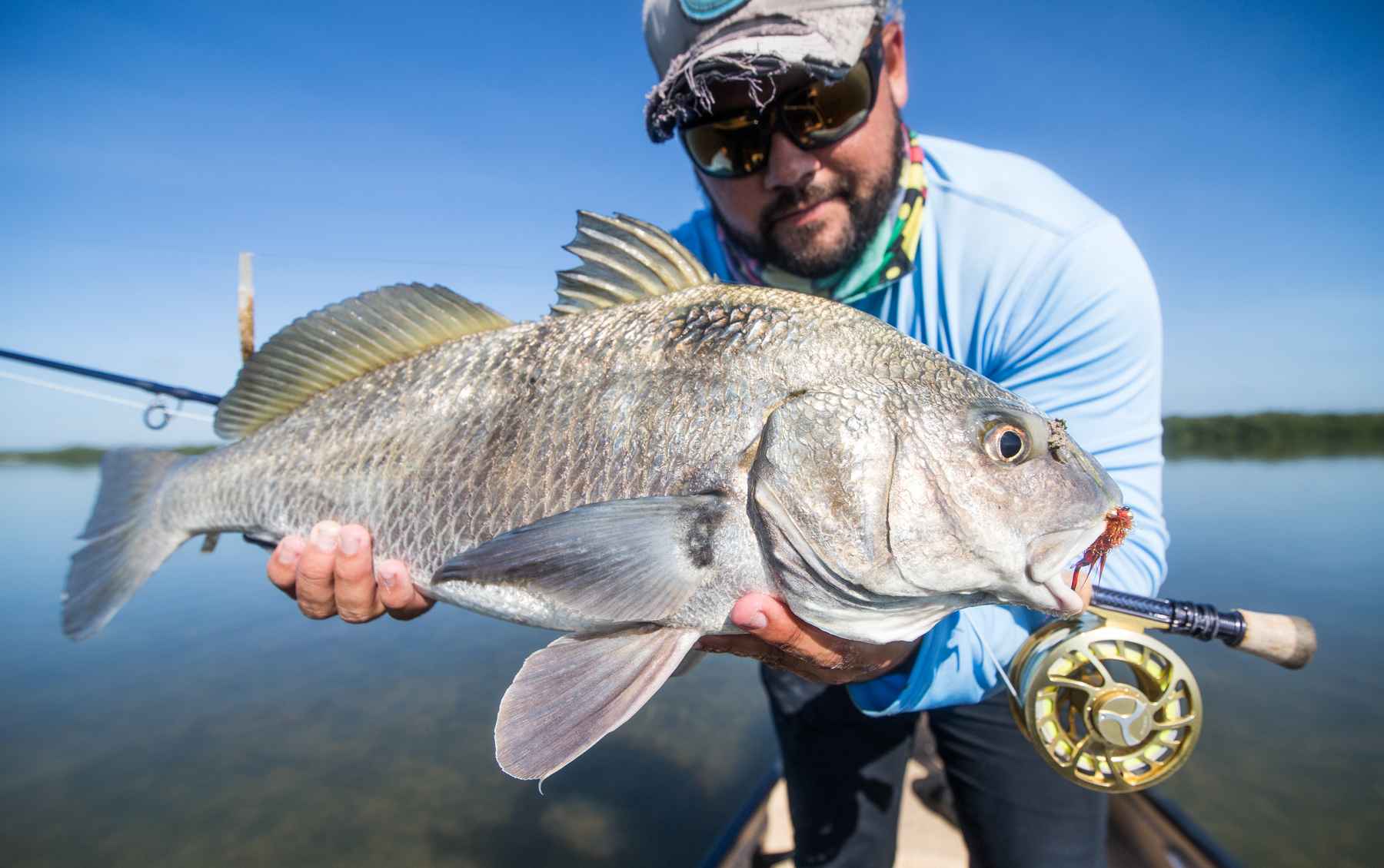 An Awakening in the Glades: Fly Fishing the Everglades