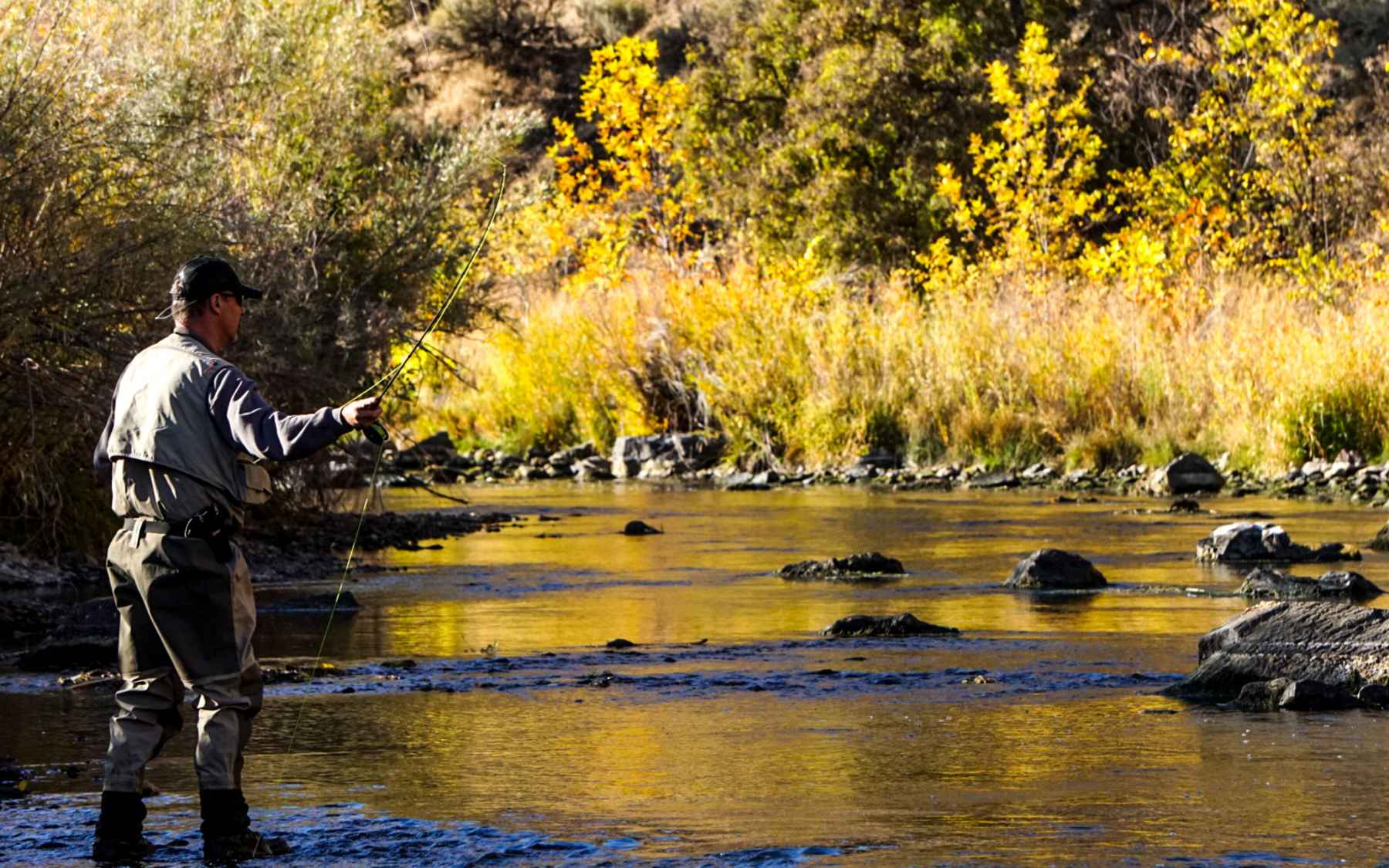 douglas fly rods