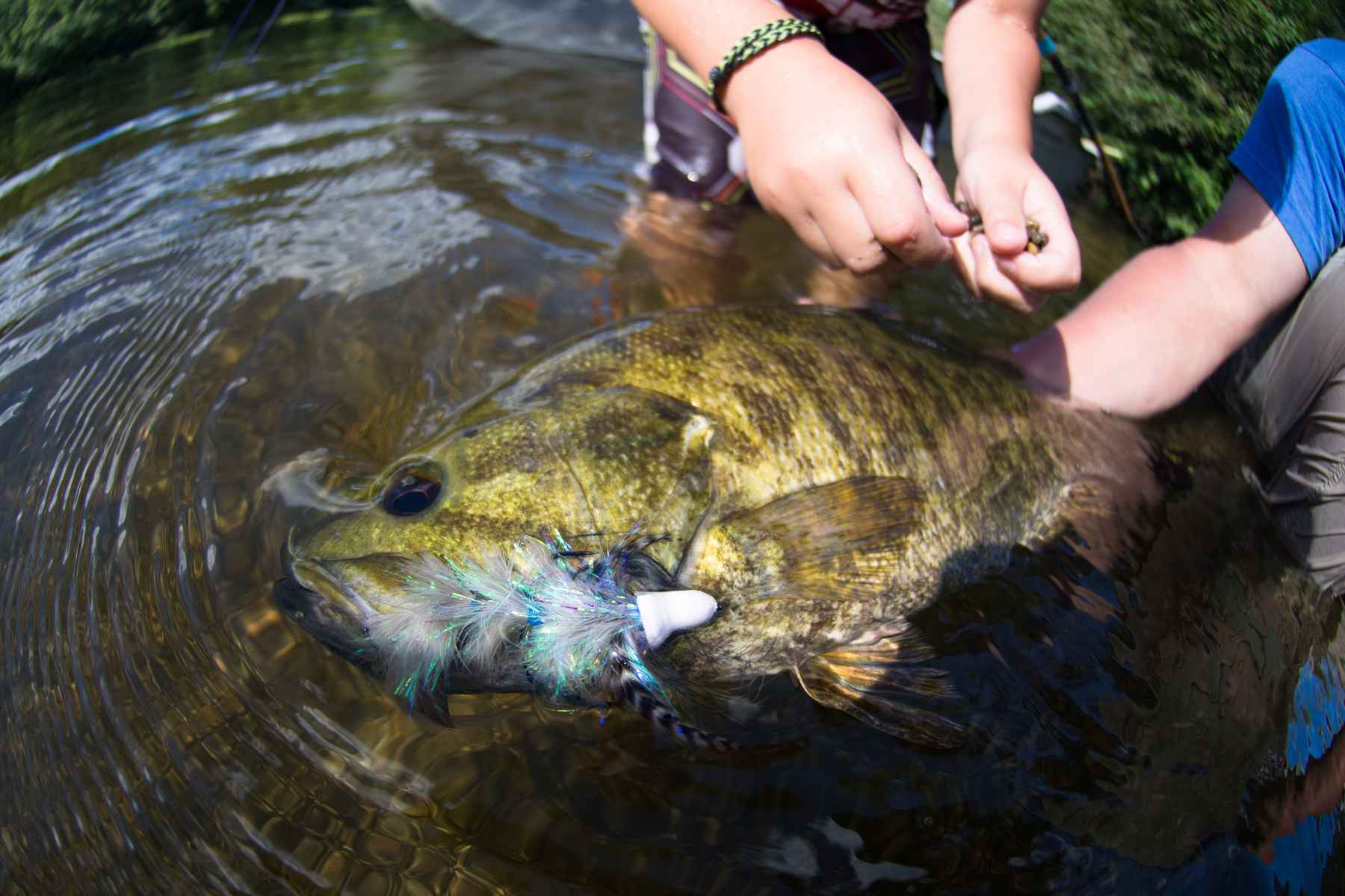 Fly Fishing for Smallmouth Bass in Small Streams – Dark Skies Fly