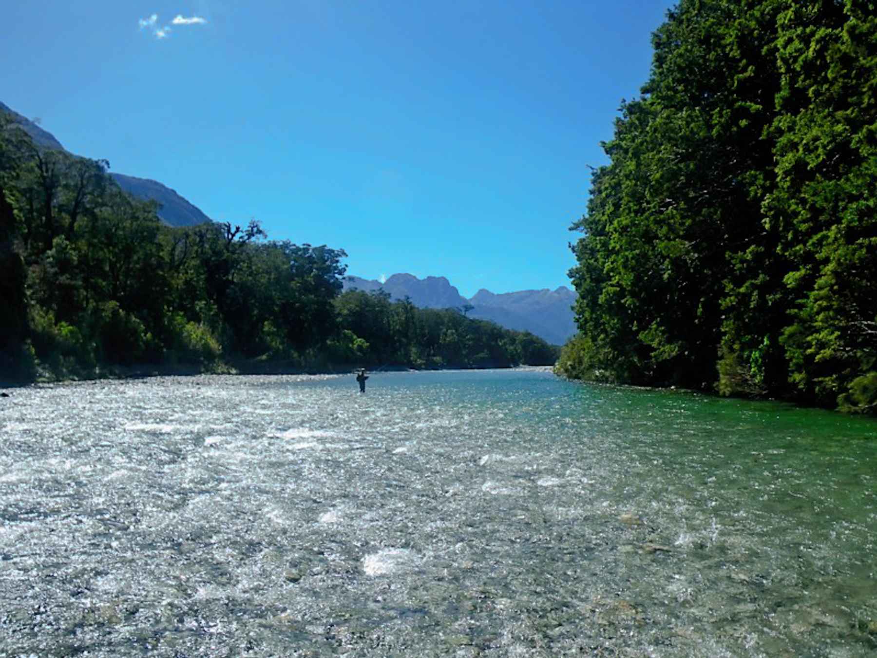 Top trout fishing rivers in New Zealand