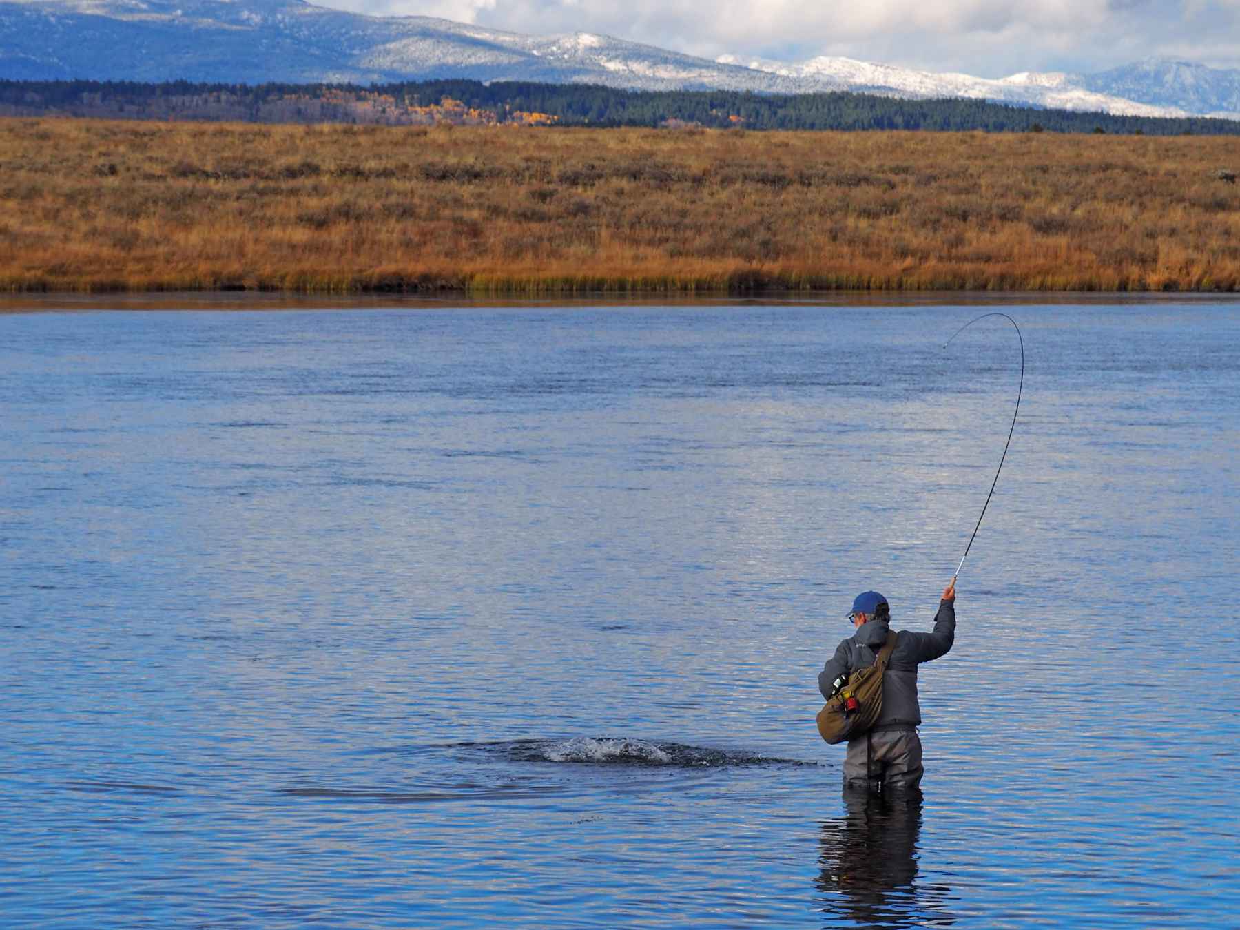 amff, Author at American Museum Of Fly Fishing