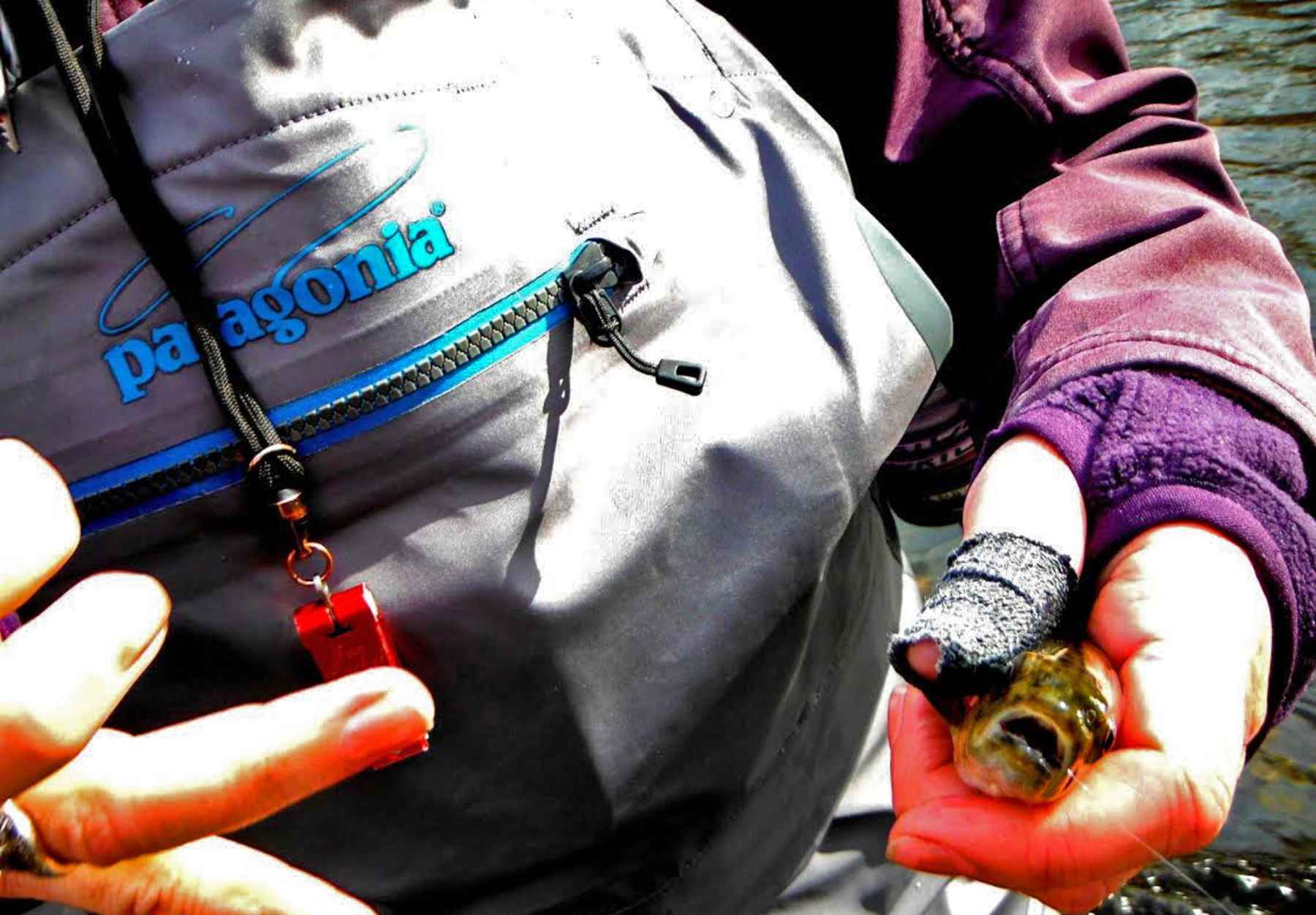 Review: Women's Waders - Patagonia Spring River Waders for Review: Women's Waders - Patagonia Spring River Waders for