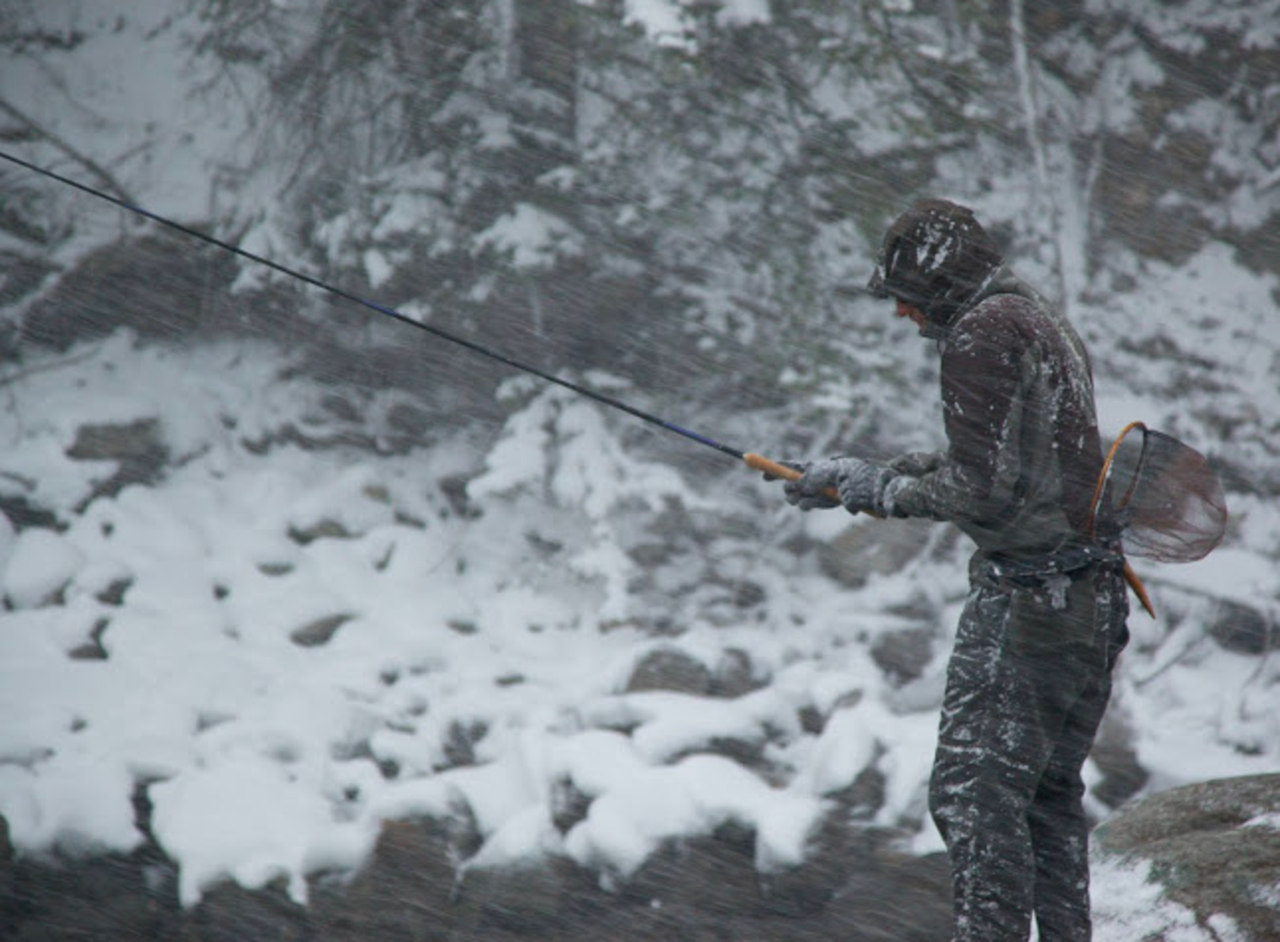 Tenkara mousing  Hatch Magazine - Fly Fishing, etc.