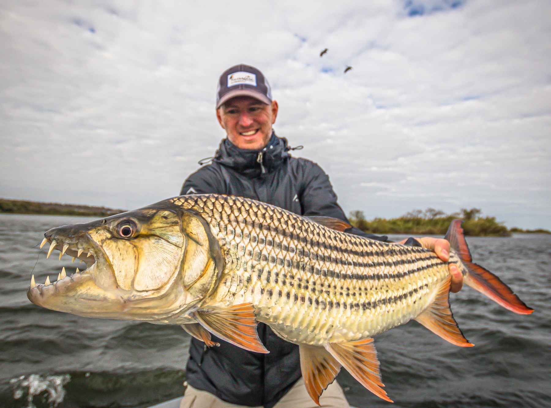 Tigerfish 101: Chasing one of nature's fiercest predators on the fly