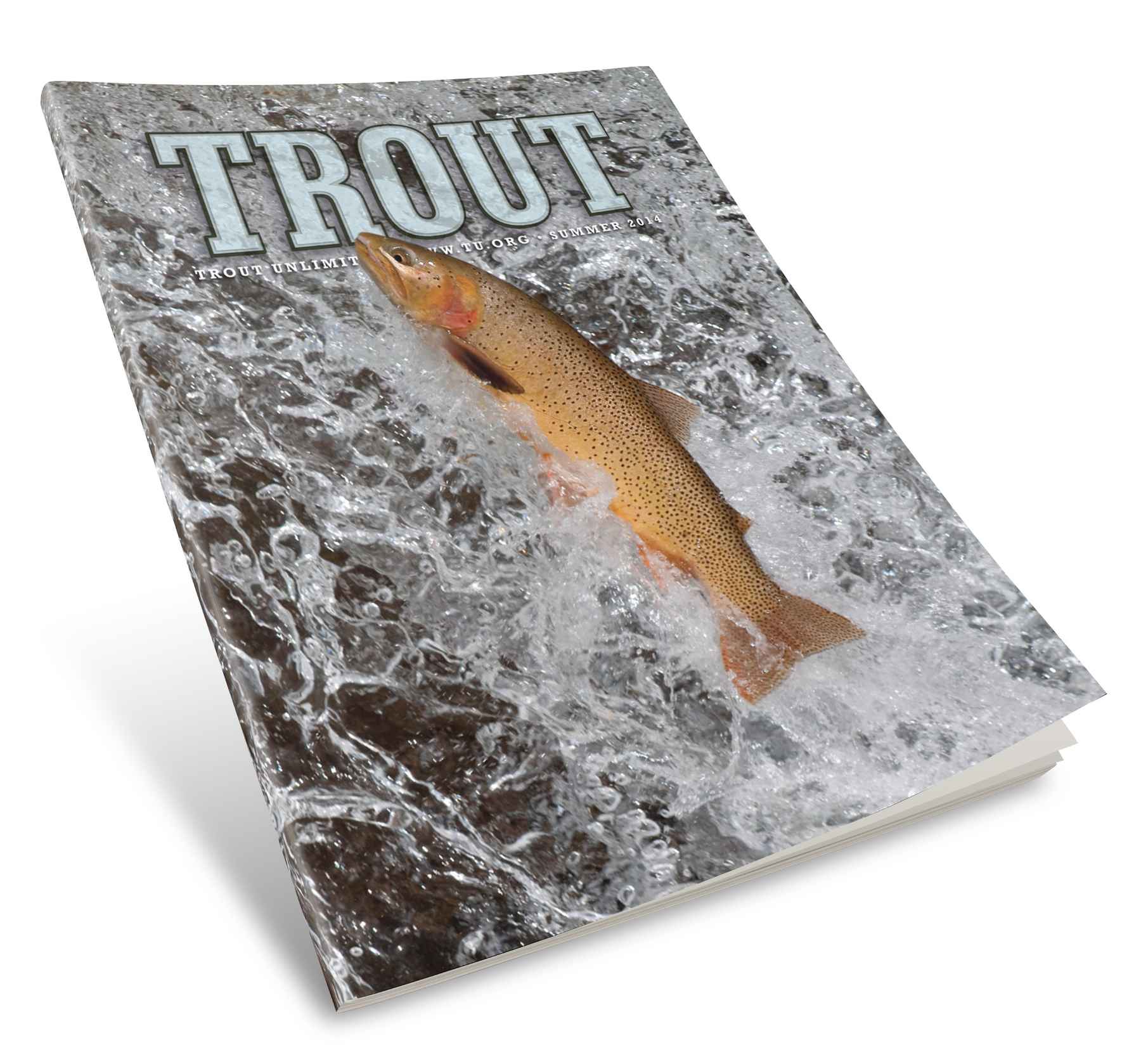 Review: Trout Magazine  Hatch Magazine - Fly Fishing, etc.