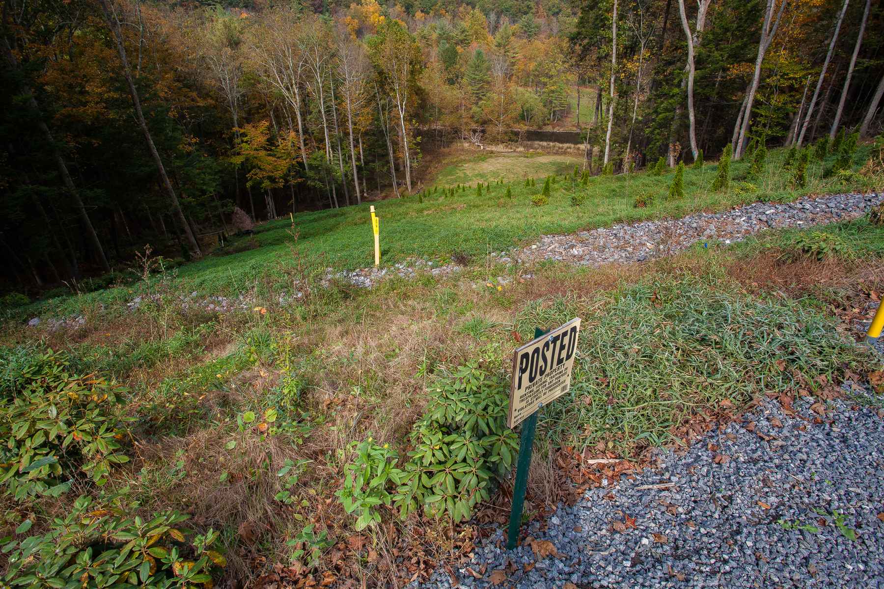 A pipeline clearing, seen as it crosses the forest access road we are traveling on. Beneath the cleared hillside, the pipeline descends, eventually crossing beneath Pine Creek and continuing on. Above the road (un-pictured), the clear cut hillside is experiencing erosion issues. Numerous temporary measures are being undertaken to attempt to bring the erosion under control (photo: Chad Shmukler). fracking pipeline forest clearing