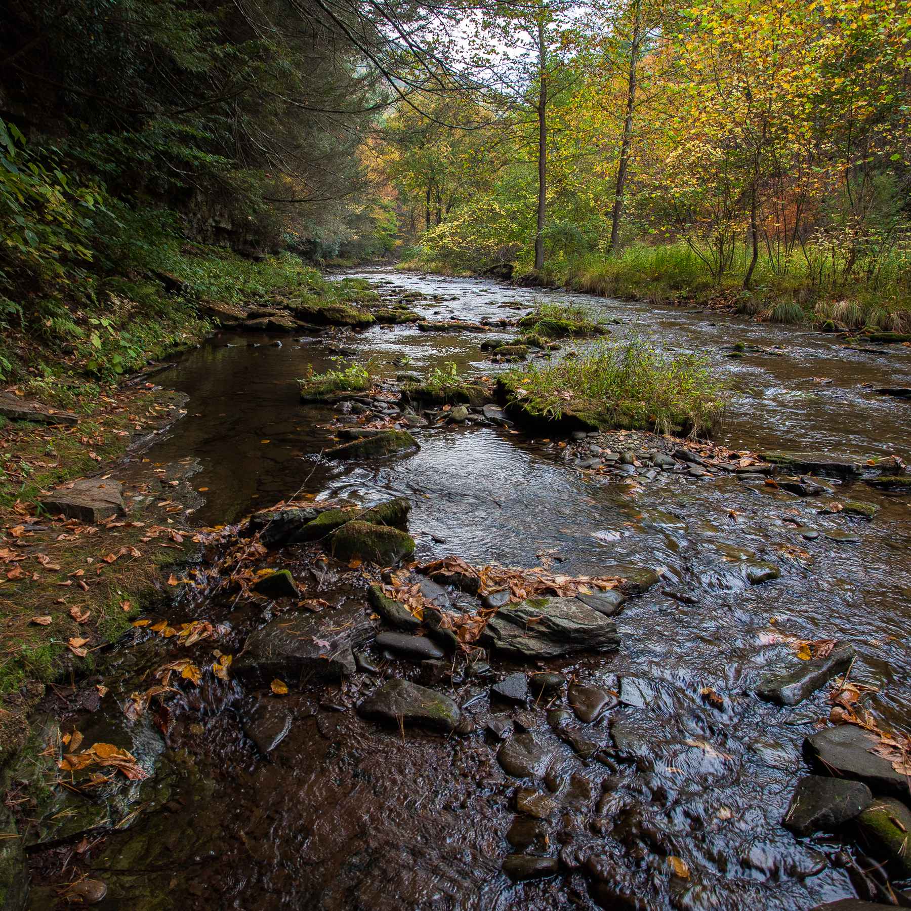 Slate Run, known for its beautiful, wild brown trout, not far above its confluence with Pine Creek (photo: Chad Shmukler). slate run pennsylvania