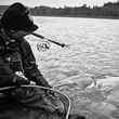 Skeena Steelhead