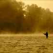 Oregon Winter Steelhead Fishing