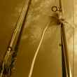 Spey Rods