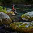 Fly Fishing Alaska on a Budget