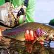 Kamchatka Fly Fishing - Rainbow Trout