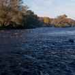 Douglaston Salmon Run