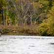Douglaston Salmon Run below Meadow Run