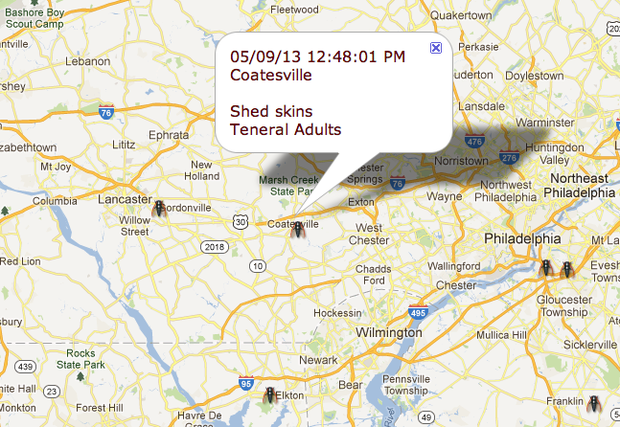 Search for magicada sightings near you by map. Magicicada Sightings by Map