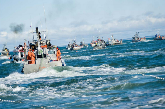 Commercial fishing vessels in Bristol Bay, Alaska. Commercial fishing vessels in Bristol Bay, Alaska.