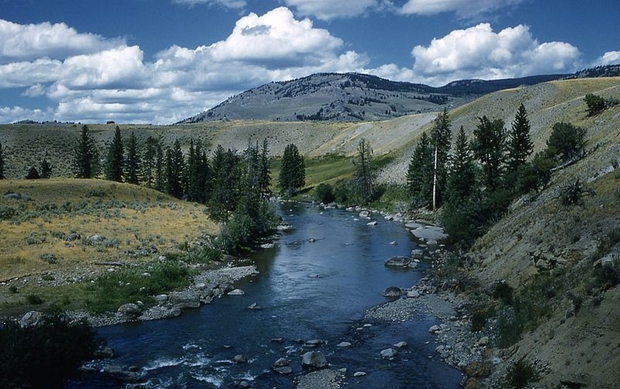 The Lamar River in Yellowstone National Park. Lamar River Yellowstone National Park