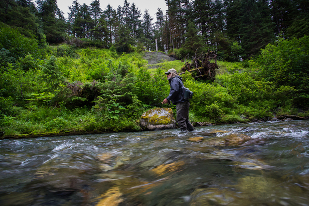Tongass National Forest Stream Tongass National Forest Stream