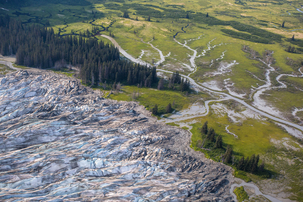 Glacier meets forest and wetland. Tongass National Forest Glacier