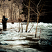 Fly Fishing High Water