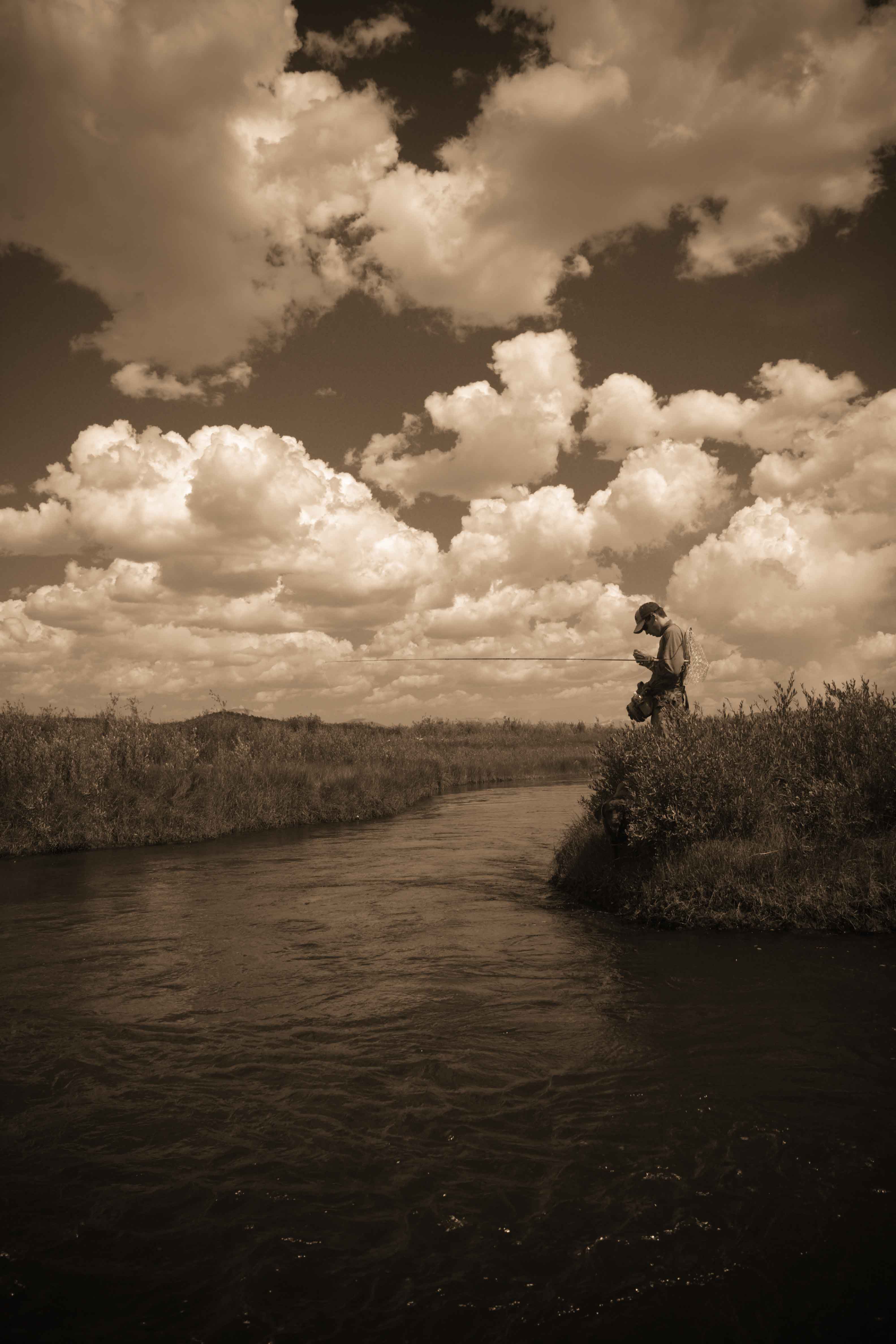 A lighter rod and Hoppers on the upper South Platte can make for fun days during late summer. South Platte River - Badger Basin