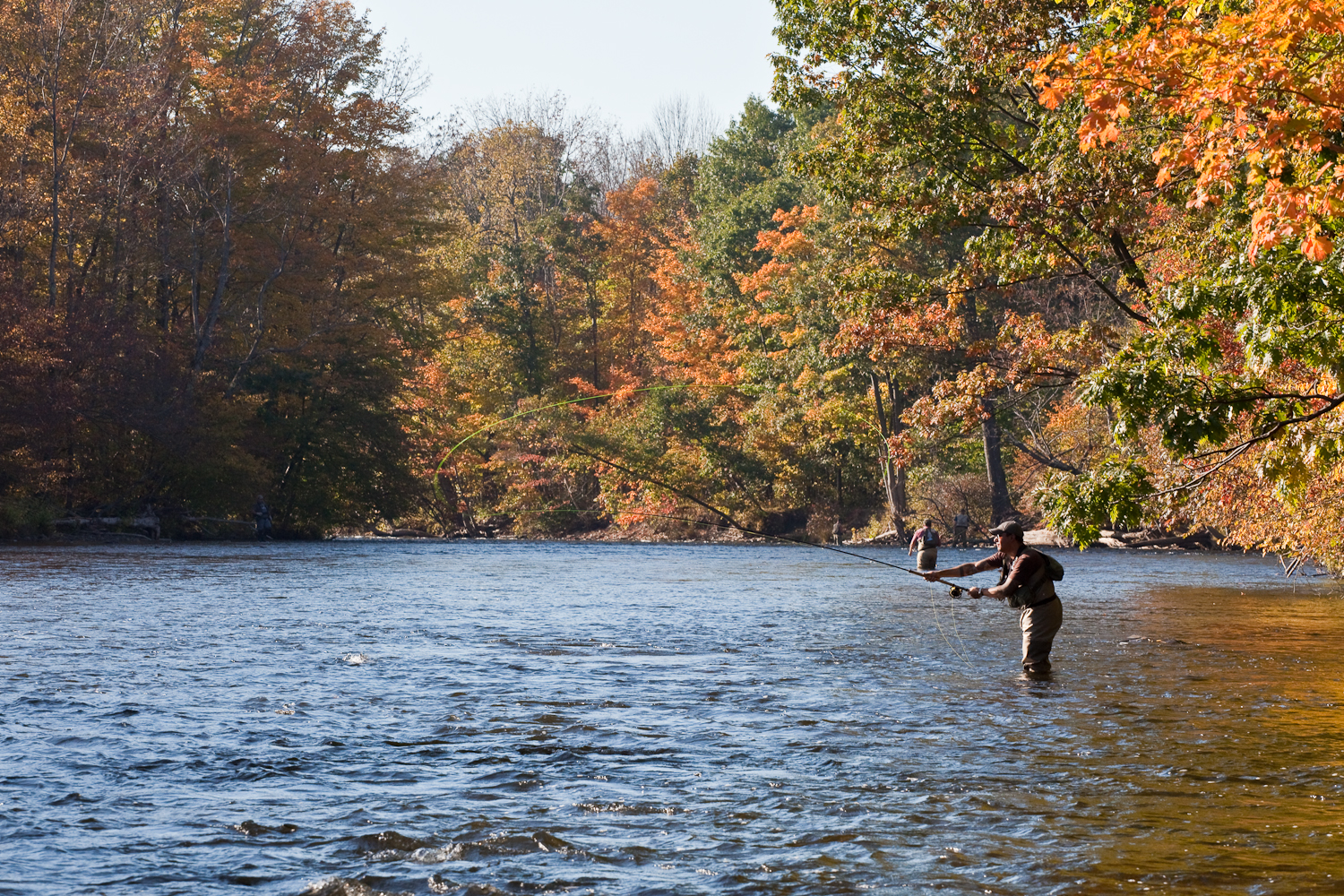 Getting a few swings in during bright afternoon sun after a late day one arrival. Salmon River Spey Casting