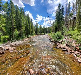 fly fishing creek